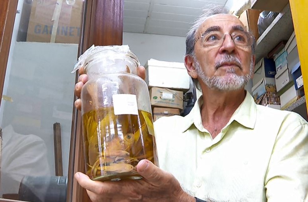 Alberto Carvalho Peret  é professor de hidrobiologia da UFSCar — Foto: EPTV