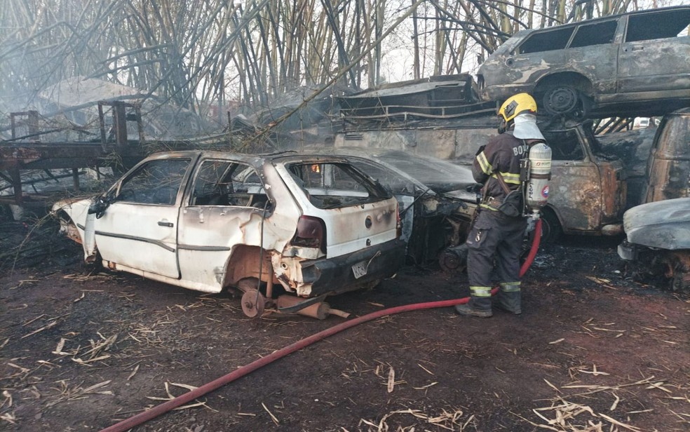 Incêndios destroem mais de 160 carros no pátio da Secretaria Municipal de Mobilidade de Goiânia, Goiás — Foto: Divulgação/Corpo de Bombeiros