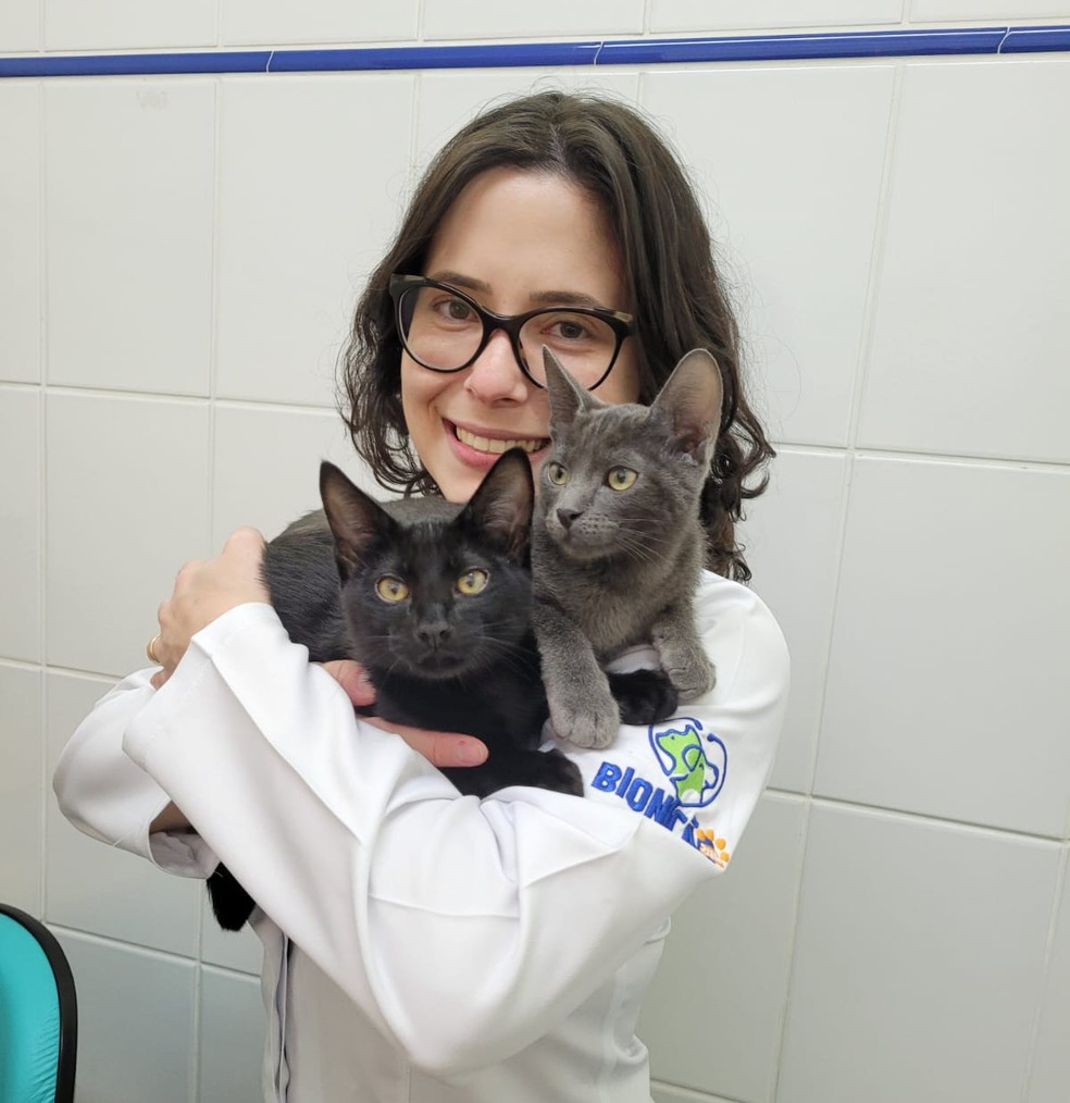 Veterinária especialista em felinos Nayara Fazolato — Foto: Arquivo pessoal