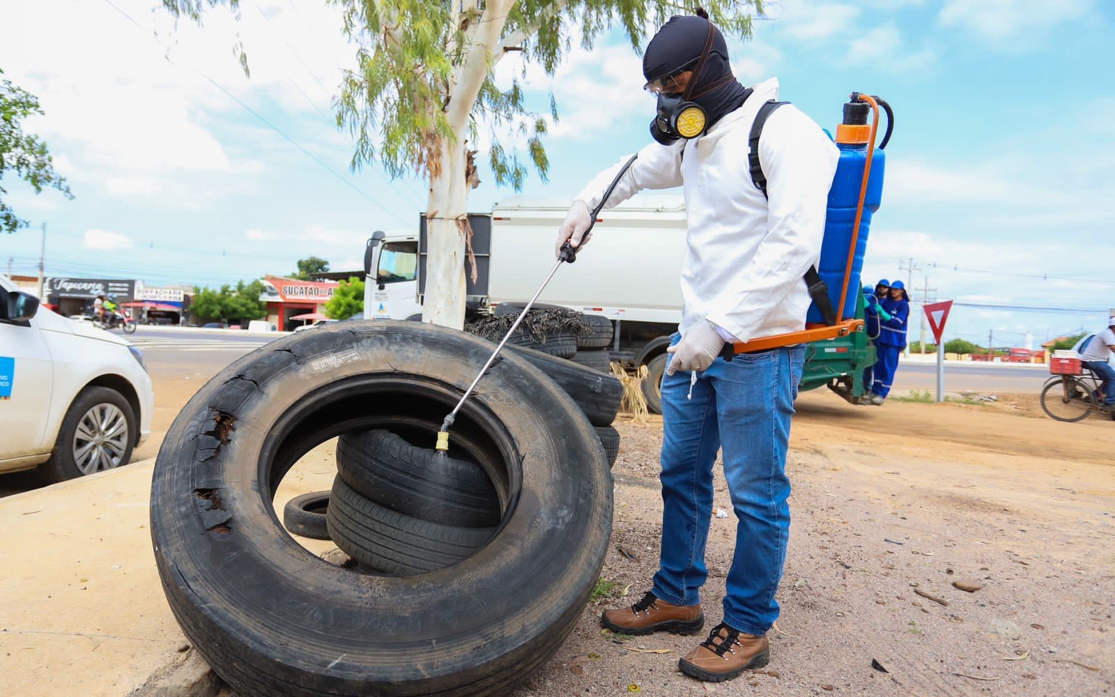 Petrolina não apresenta risco de infestação do Aedes aegypti, aponta 4º LIRAa