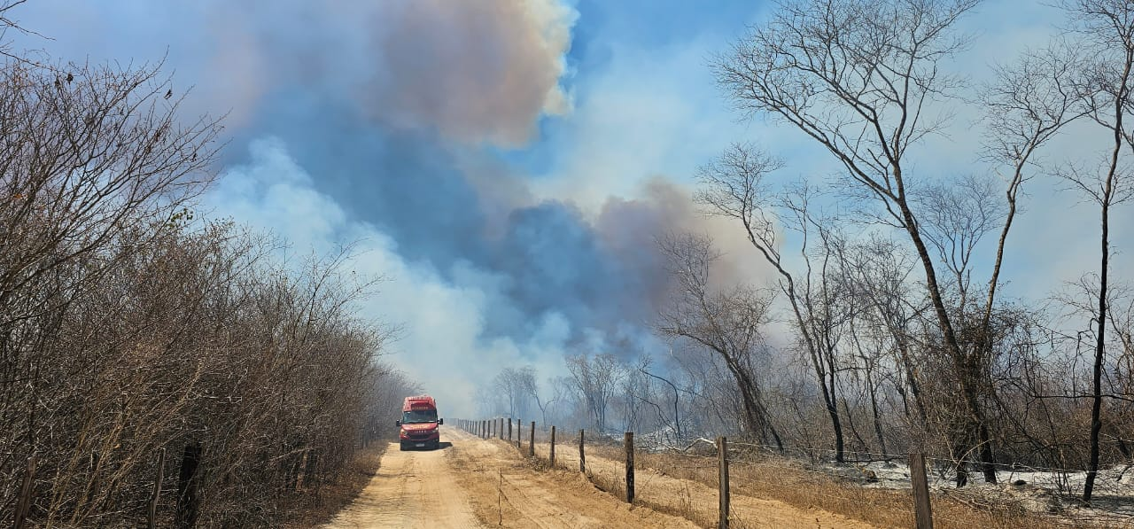 Força-tarefa combate incêndio de grande proporção em comunidades rurais de Verdelândia e São João da Ponte