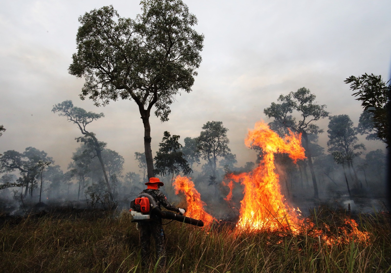 De enchente à seca: militares que atuaram no RS ajudam a combater os incêndios no Pantanal 