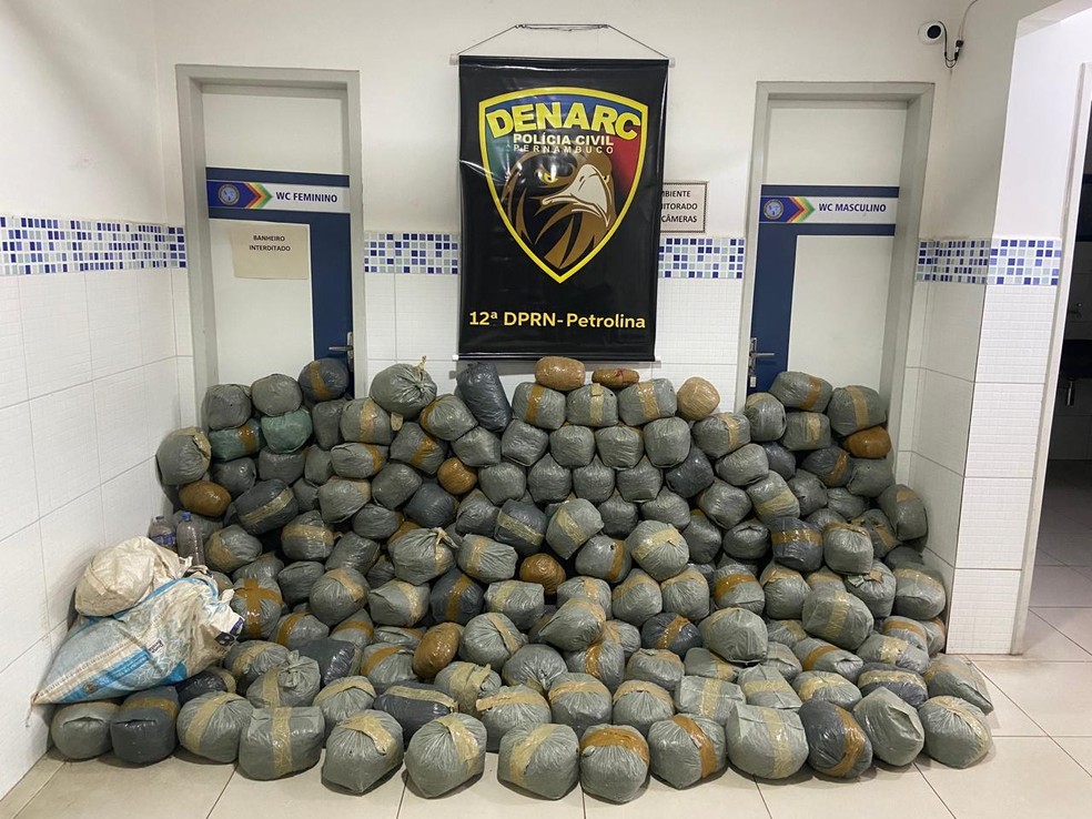 Maconha apreendida pela Polícia em Petrolina — Foto: PC/ Divulgação