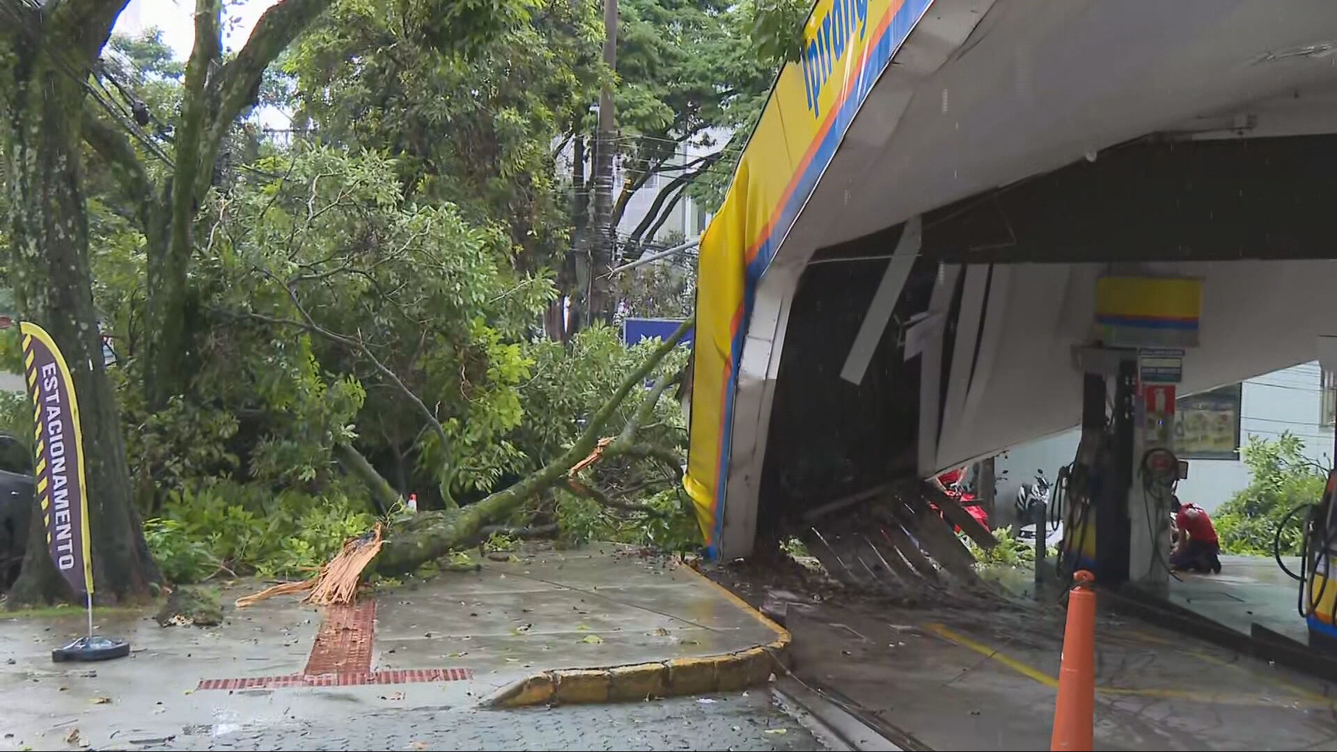 Árvore cai sobre carro em posto de combustíveis em BH
