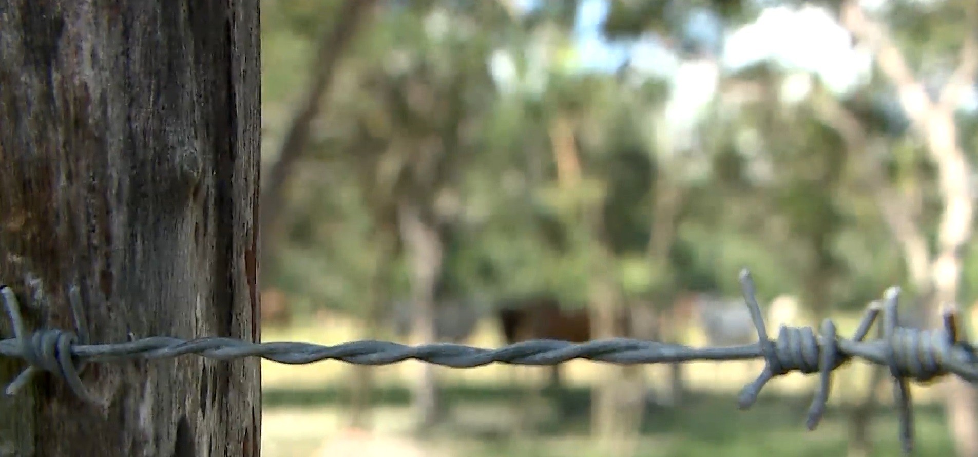 Você Não Tá Convidada pro Meu Bat Mitzvá!