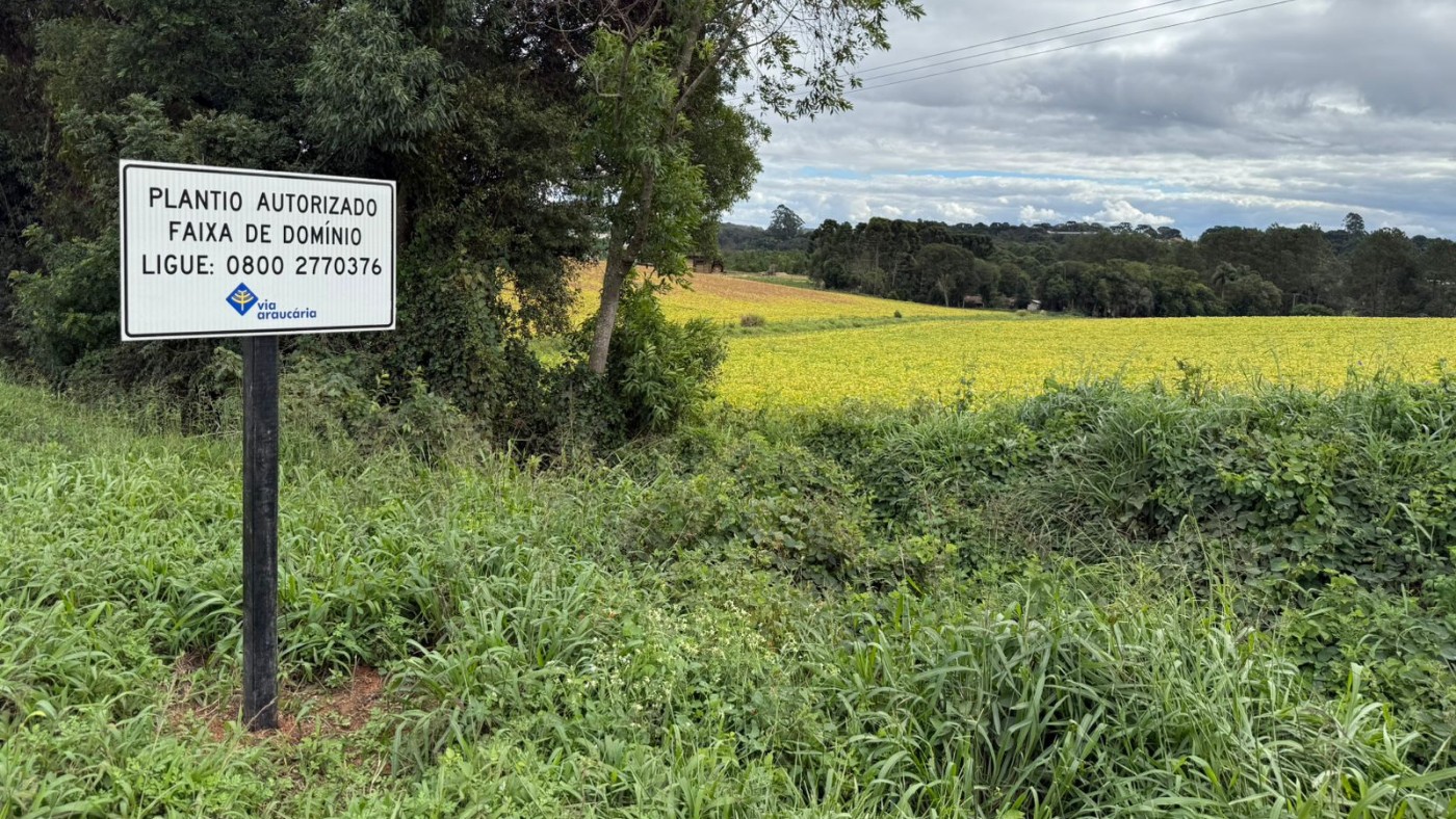 Projeto pioneiro no PR transforma margens em áreas produtivas