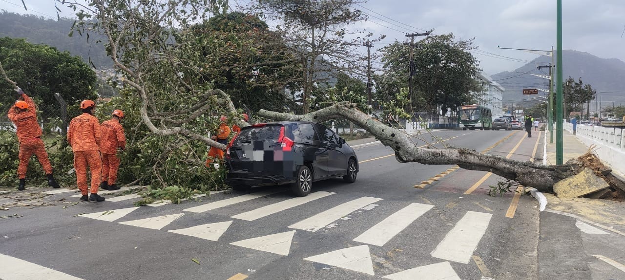 Árvore cai sobre carro e interdita a via em Angra dos Reis 