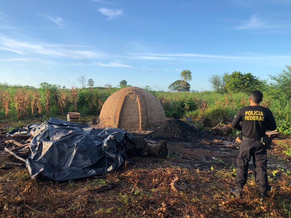 Três pessoas são presas por suspeita de extração e comércio ilegal de madeiras de terras indígenas do MA — Foto: Divulgação/Polícia Federal