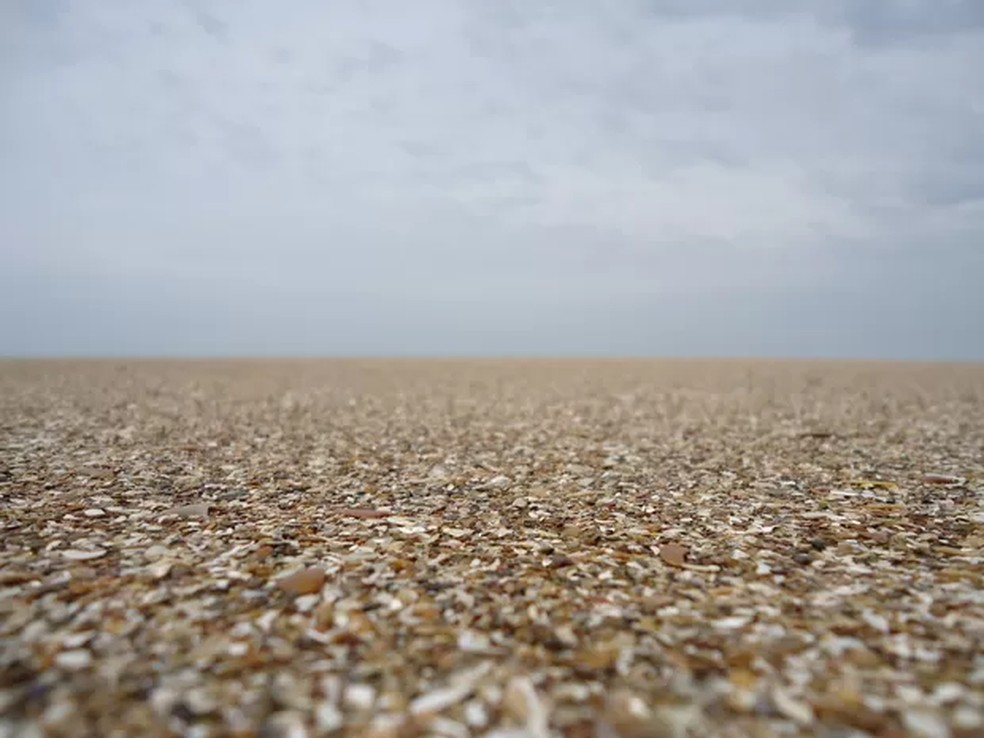 Conchas cobrem a areia em trecho da praia — Foto: Sandro Cardoso/RBS TV