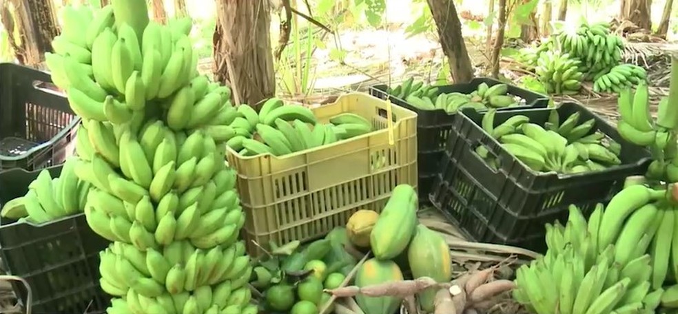 Força-tarefa contra a fome no PI — Foto: TV Clube