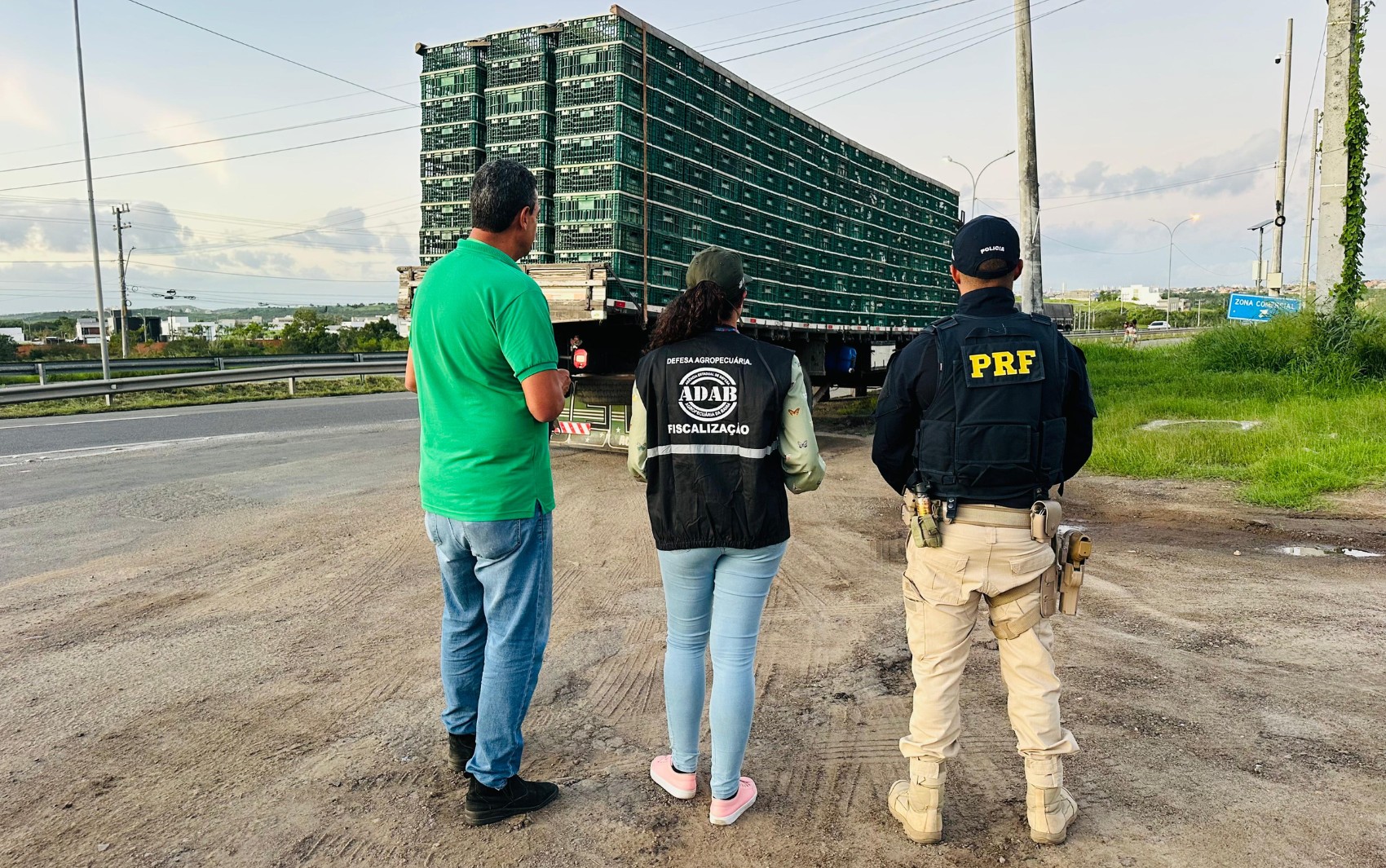 Caminhão com 2 mil frangos é apreendido no interior da Bahia; animais serão abatidos em cidade da região