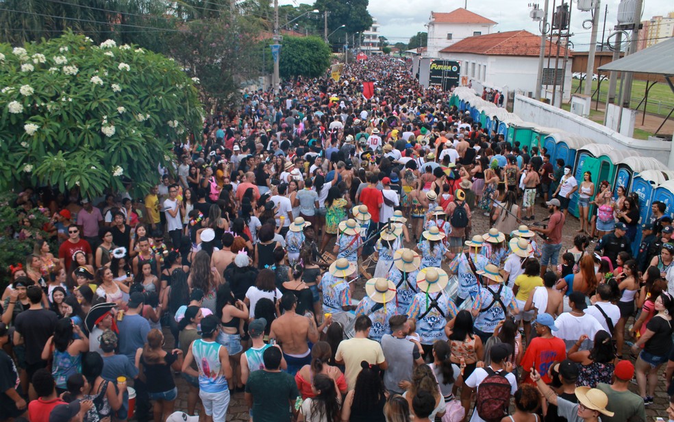 Cordão da Valu arrastou mais de 25 mil foliões no carnaval de rua de Campo Grande (MS) — Foto: Eva Lima/Cordão da Valu