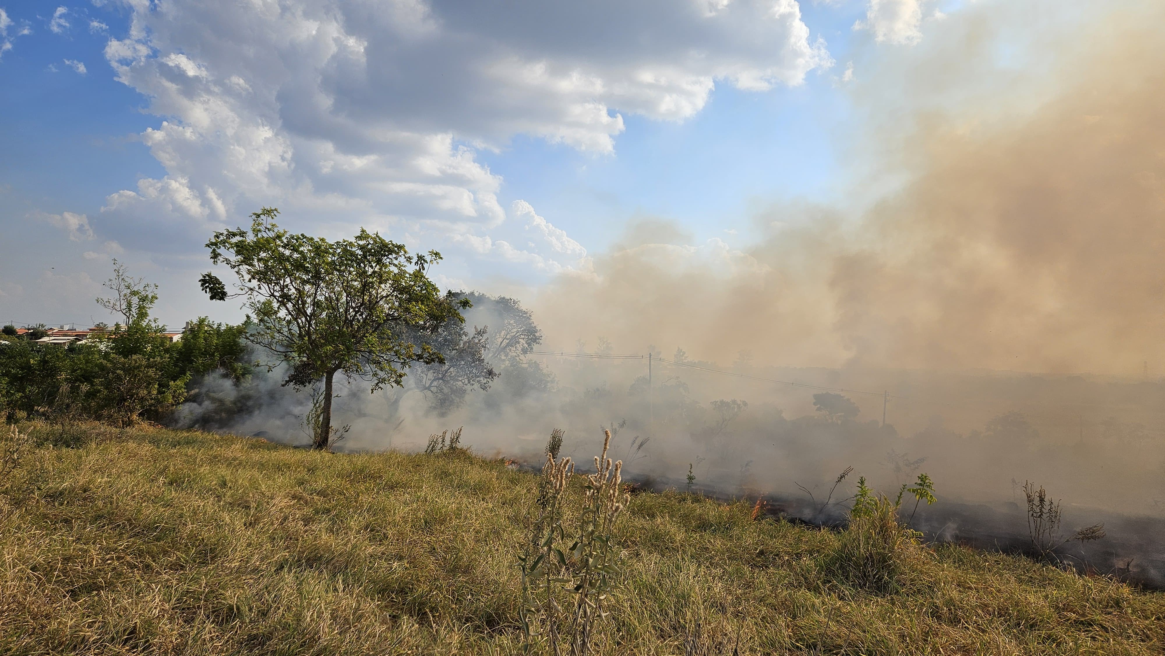 Incêndio atinge mata próxima a área de preservação em Campinas
