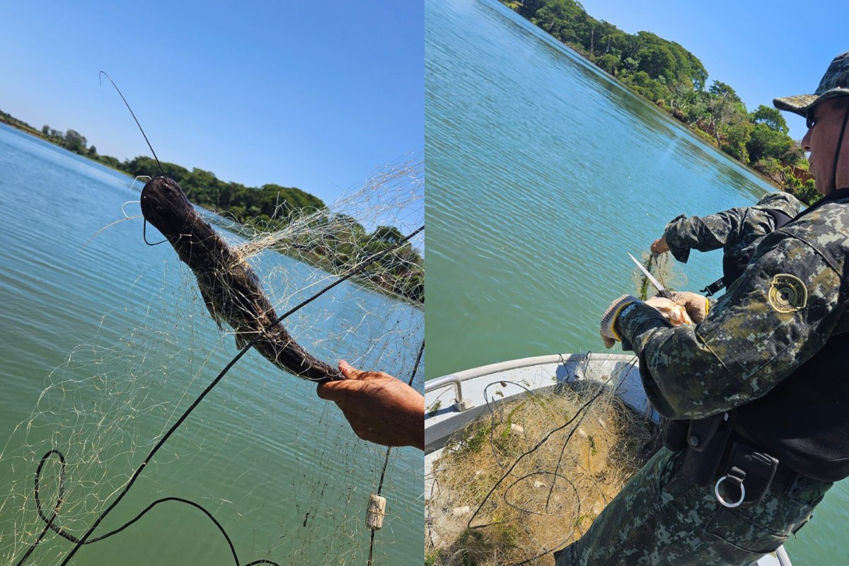 Polícia Ambiental flagra rede ilegal de 200 metros no Rio Paraná durante a Piracema no interior de SP 