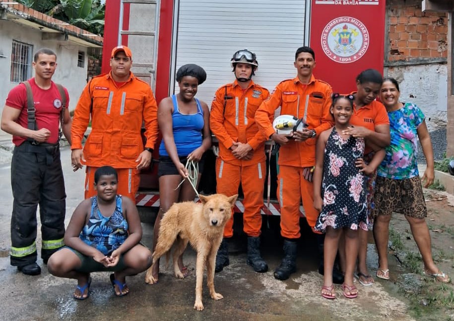 Cachorro é resgatado de buraco com 3 metros de profundidade em Salvador após dois dias preso