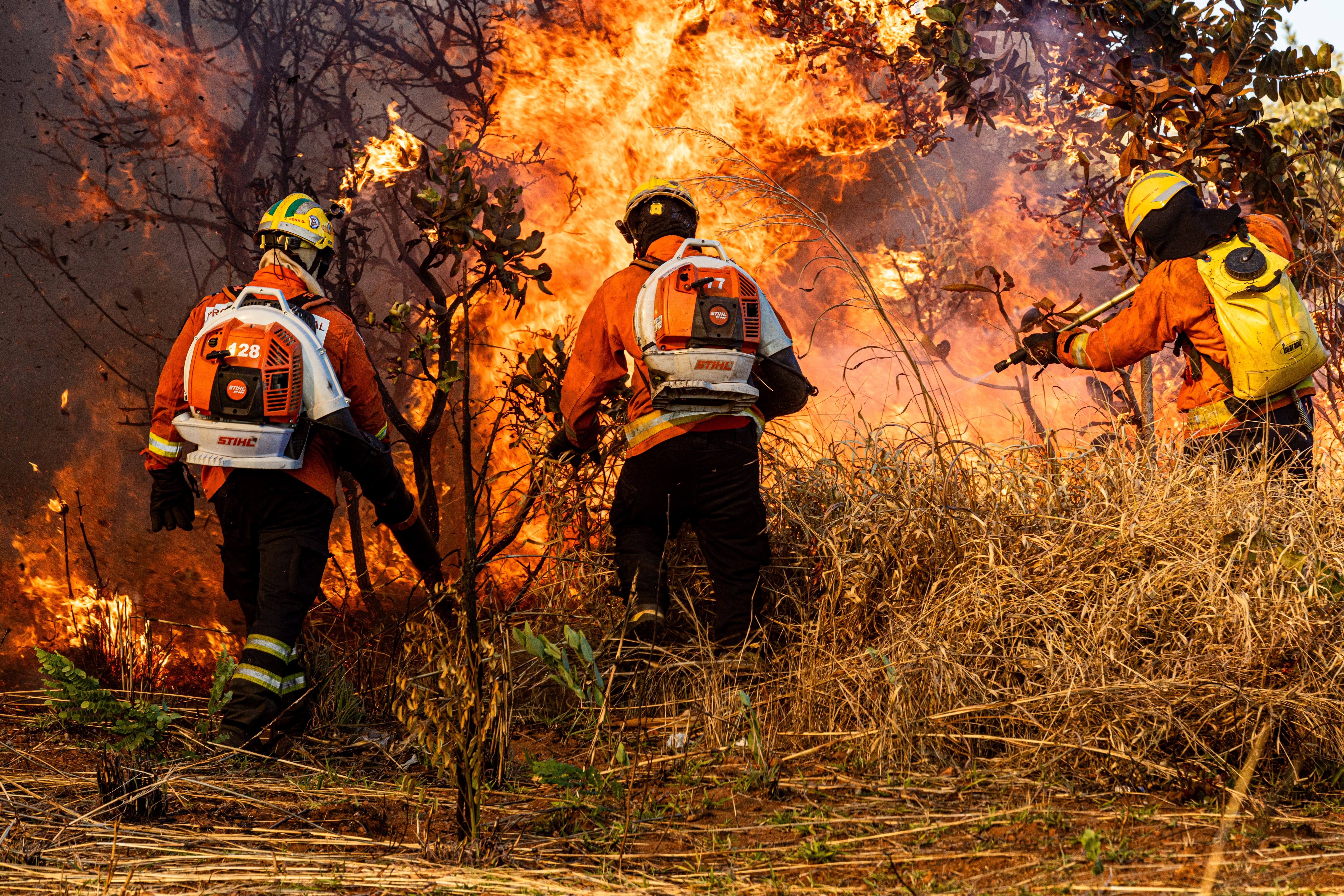 Das 7h às 7h do dia seguinte: saiba como é a rotina de um bombeiro militar no combate aos incêndios no DF