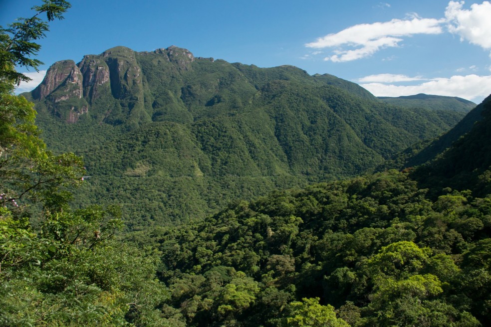 Paisagem do passeio de trem Curitiba-Litoral — Foto: Reprodução/Serra Verde Express