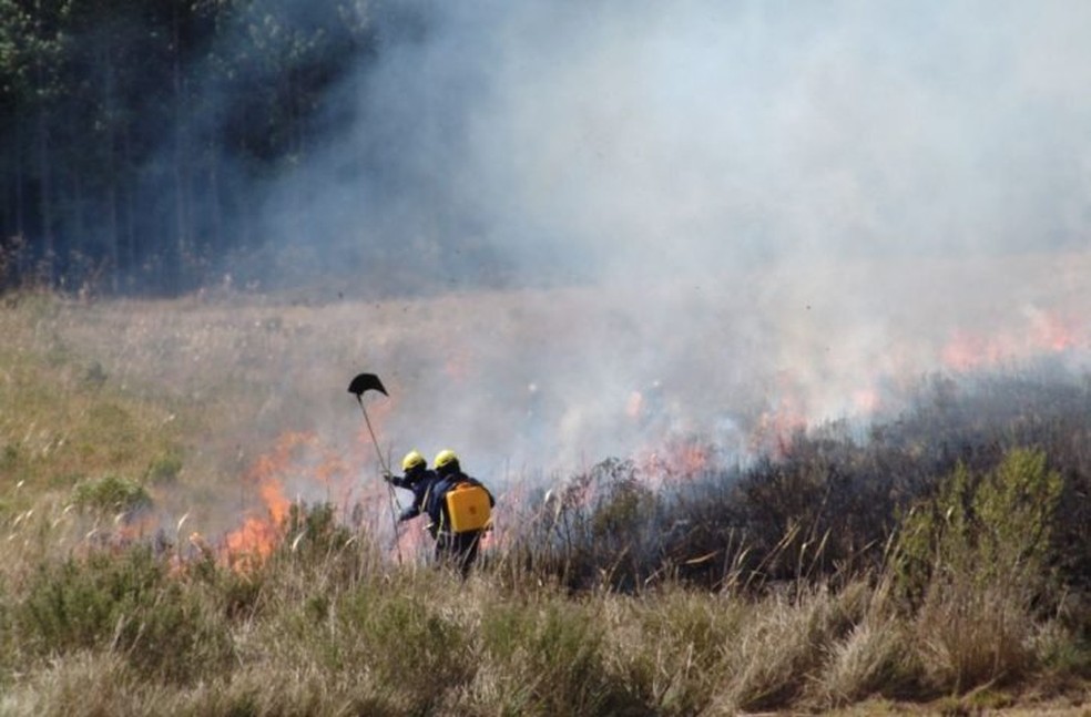 Combate aos incêndios no Pantanal. — Foto: GOV-MS/Reprodução