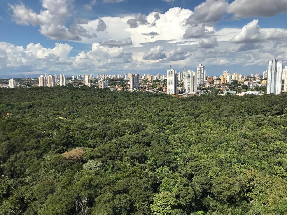 Parque público em MT — Foto: Nara Assis