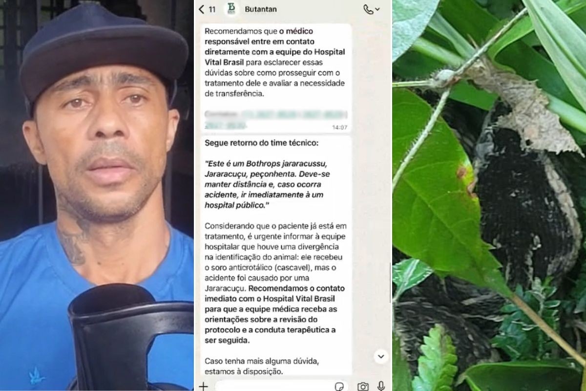 Homem picado por cobra descobriu que tomou 20 doses de soro errado com ajuda de IA; saiba como