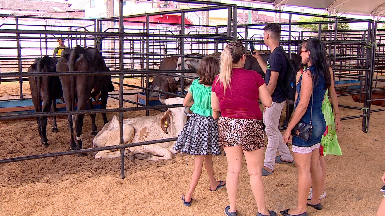 Expoagro 2025 começa neste domingo em Manaus com feira, shows e negócios rurais