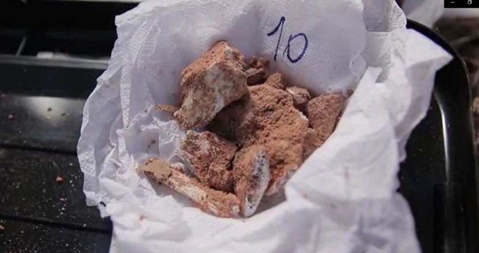 Novos fósseis de dinossauros preservados foram encontrados em Chapada dos Guimarães (MT) — Foto: TVCA