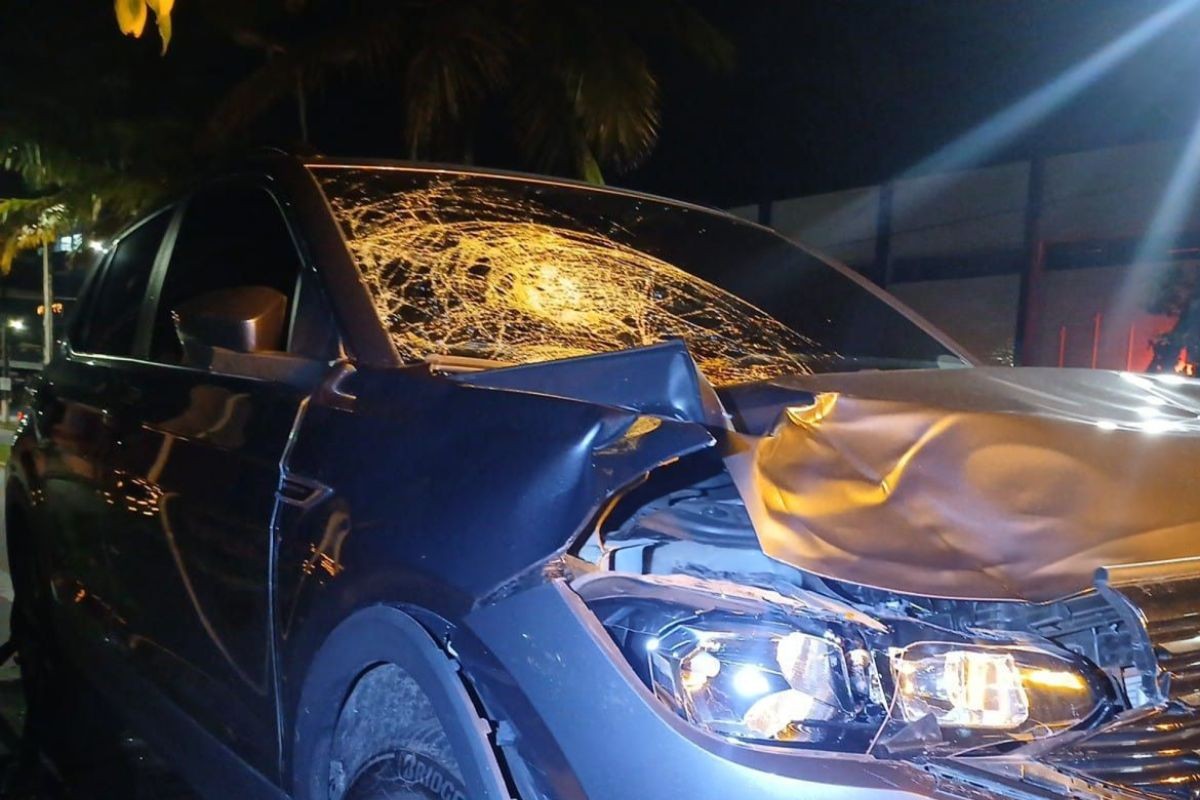 Criança de 5 anos e homem morrem atropelados em rodovia no litoral de SP