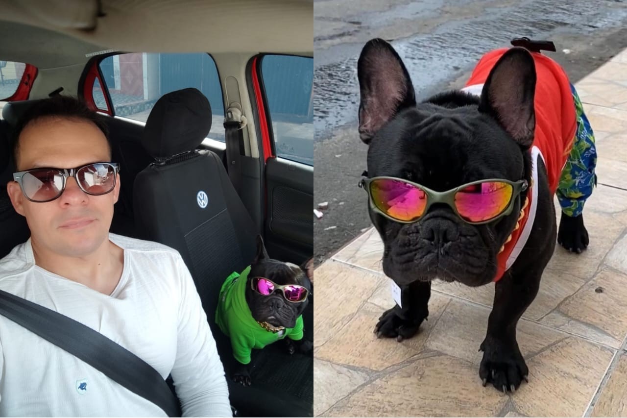 Vídeo: cachorro buldogue vira mascote de passageiros ao acompanhar dono motorista de app em Teresina