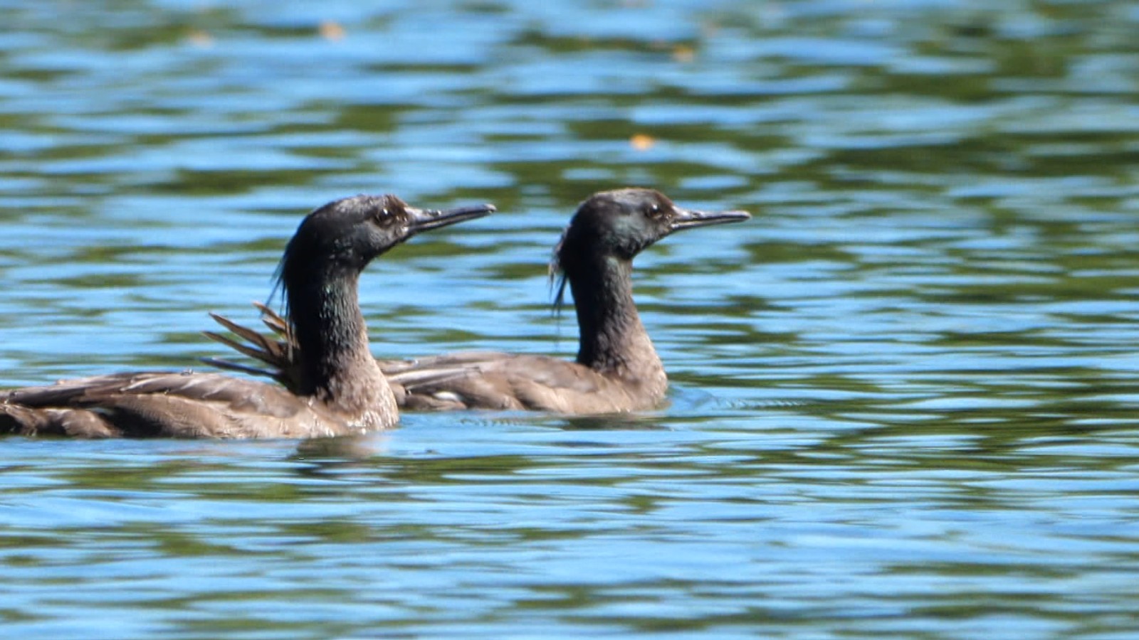 ‘Biotravessia’ chega a Serra da Canastra, onde tradição e natureza se encontram