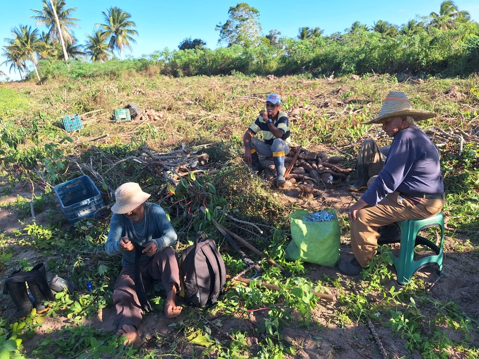 Dona Nelita criou porcos, passou a revender cereais e investiu no cultivo de amendoim. — Foto: Arquivo Pessoal