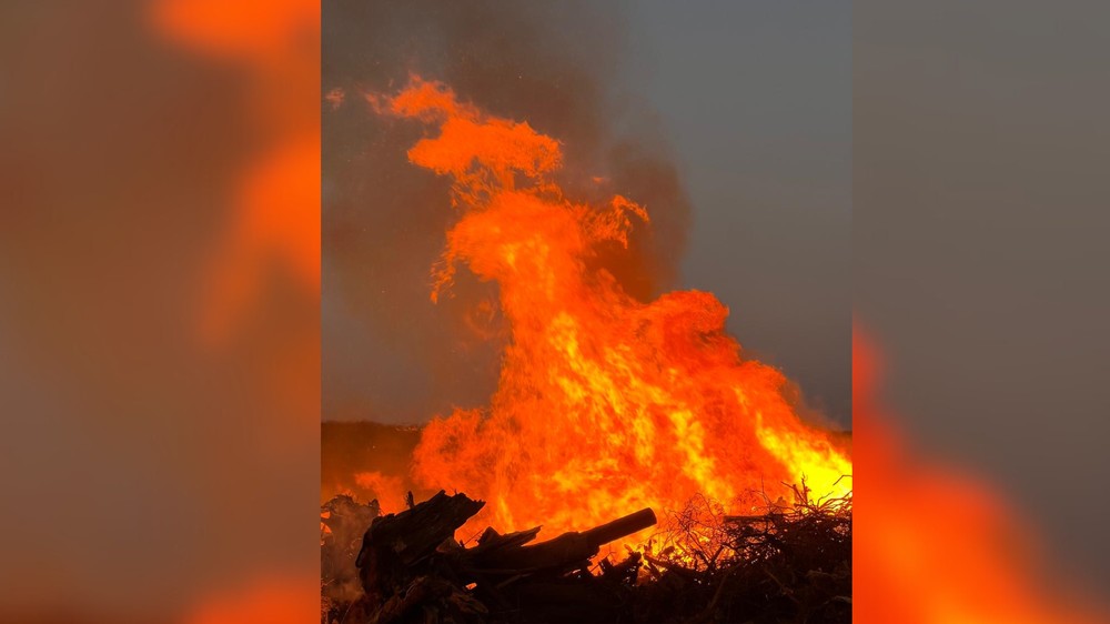 Incêndio atinge a Fazenda Municipal em Rio Preto - SP