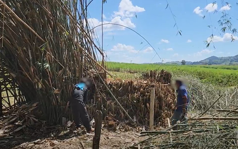 Trabalhadores vítimas de trabalho análogo à escravidão são resgatados em fazenda de Nova Glória, Goiás — Foto: Divulgação/Superintendência Regional do Trabalho em Goiás