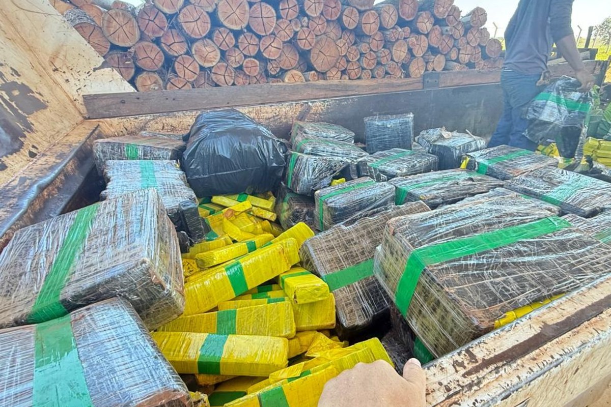 Dois meses de apreensões viram cinzas: 2 toneladas de maconha são incineradas em forno industrial