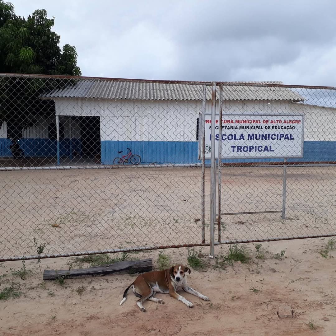 Alunos estão há um mês sem transporte para ir à escola em Alto Alegre e pais cobram solução: 'atrapalha demais'