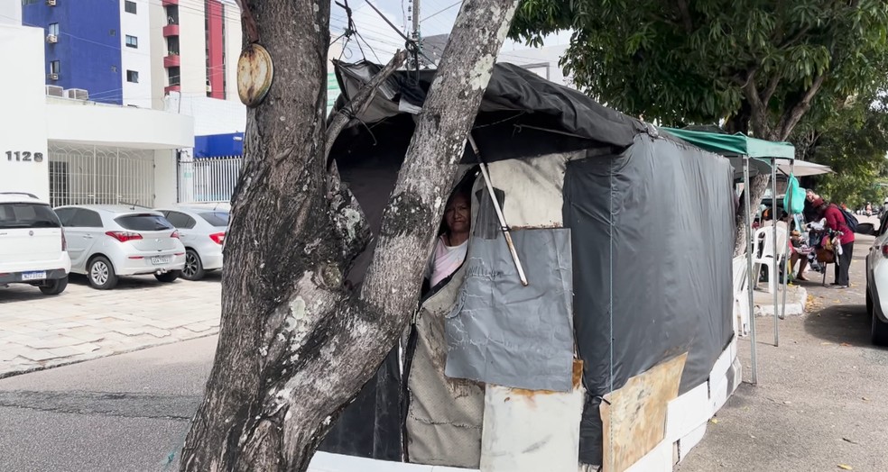 Ex-comerciante, Maria da Soledade vive h� 14 anos sob uma �rvore na Torre, em Jo�o Pessoa � Foto: Reprodu��o / TV Cabo Branco