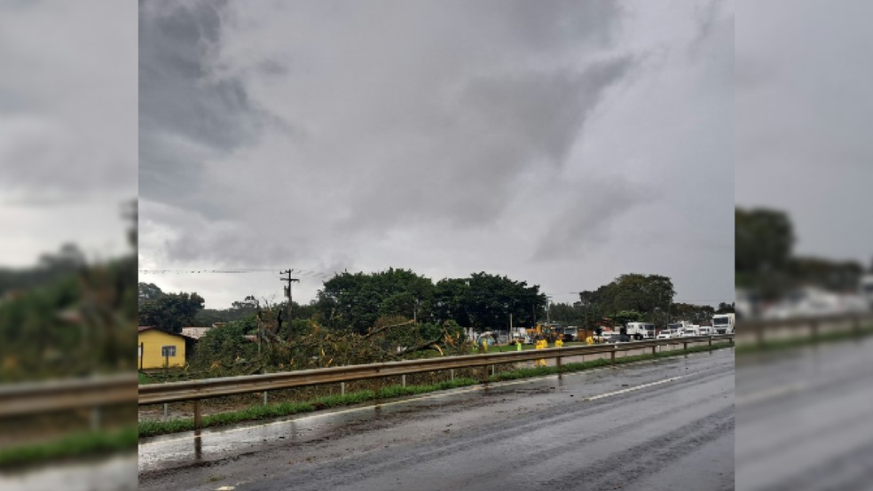 2 de 4
Uma &aacute;rvore caiu sobre a pista no sentido interior-capital da Rodovia Marechal Rondon, provocando a interdi&ccedil;&atilde;o parcial do trecho. &mdash; Foto: Defesa Civil de S&atilde;o Manuel