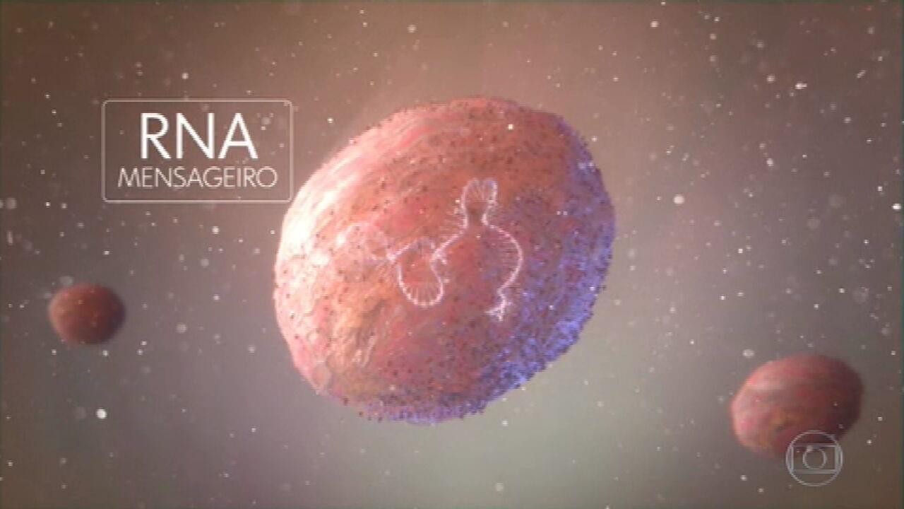 anvisa-alerta-sobre-risco-de-inflama-o-card-aca-por-vacinas-de-rna