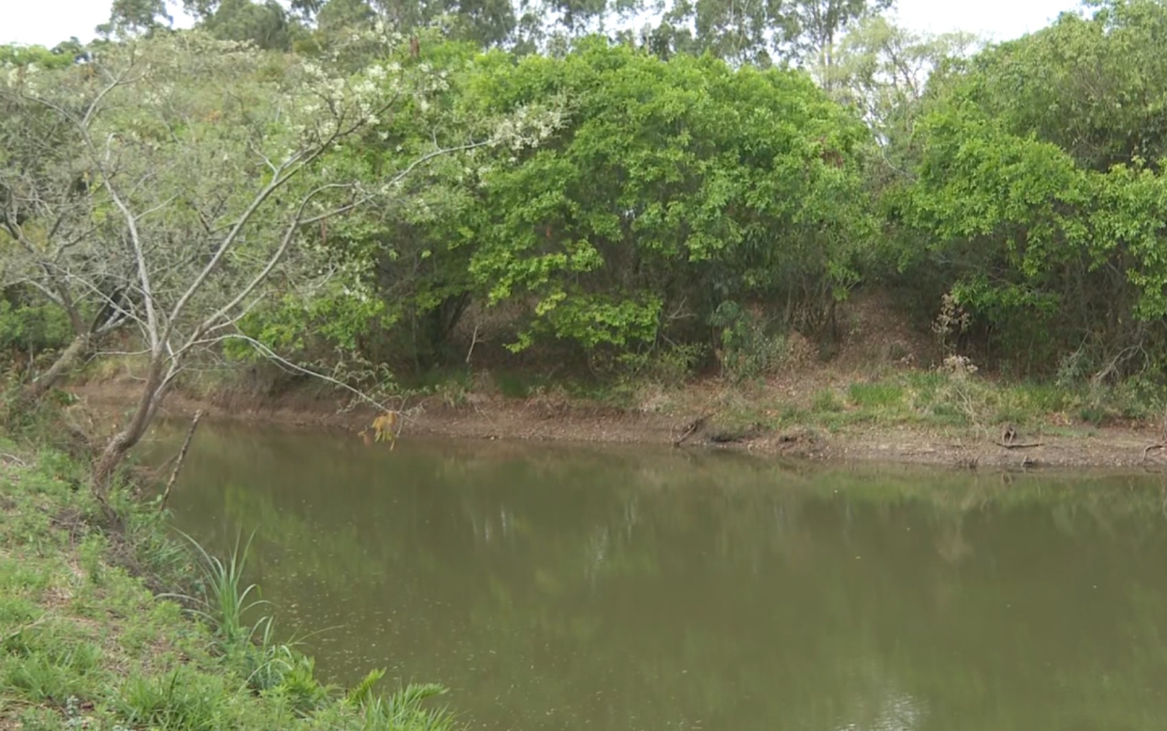 Além da estiagem: por que Cristais Paulista, SP, precisou iniciar racionamento de água