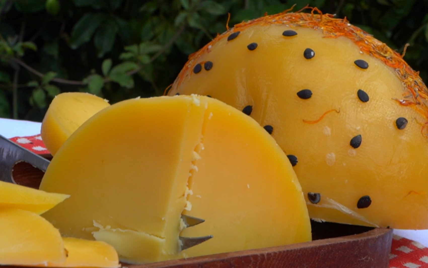 Queijo com maracujá? Conheça o Passionata, receita criada em laboratório, que ganhou prêmios internacionais