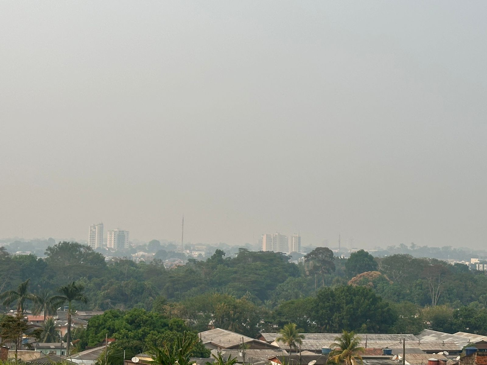 Queimadas no Acre: agosto tem pior índice do ano; confira ranking de ...