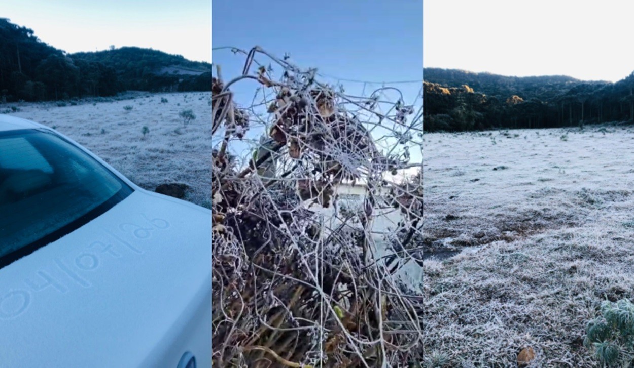 SC registra -5,7°C e 19 cidades abaixo de 0°C; VÍDEO mostra lagos e 'teia de aranha' congelados