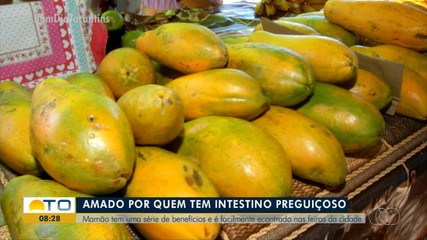 Mamão é fruta fácil de encontrar e traz benefícios para quem consome