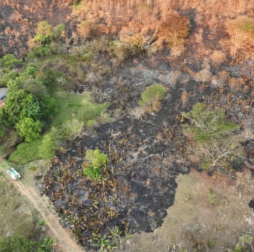 Incêndio atingiu quase 30 hectares — Foto: PMMA/Divulgação