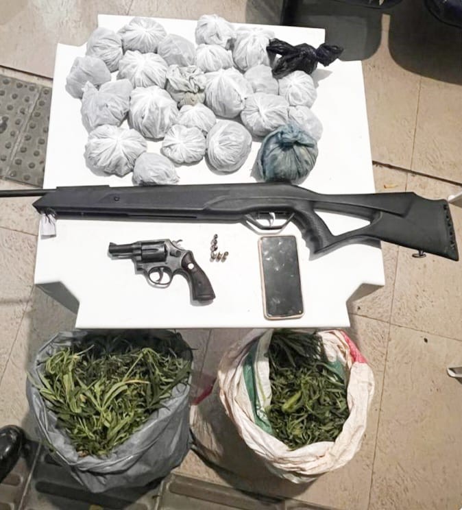 Polícia Militar erradica 6 mil pés de maconha em Petrolina 