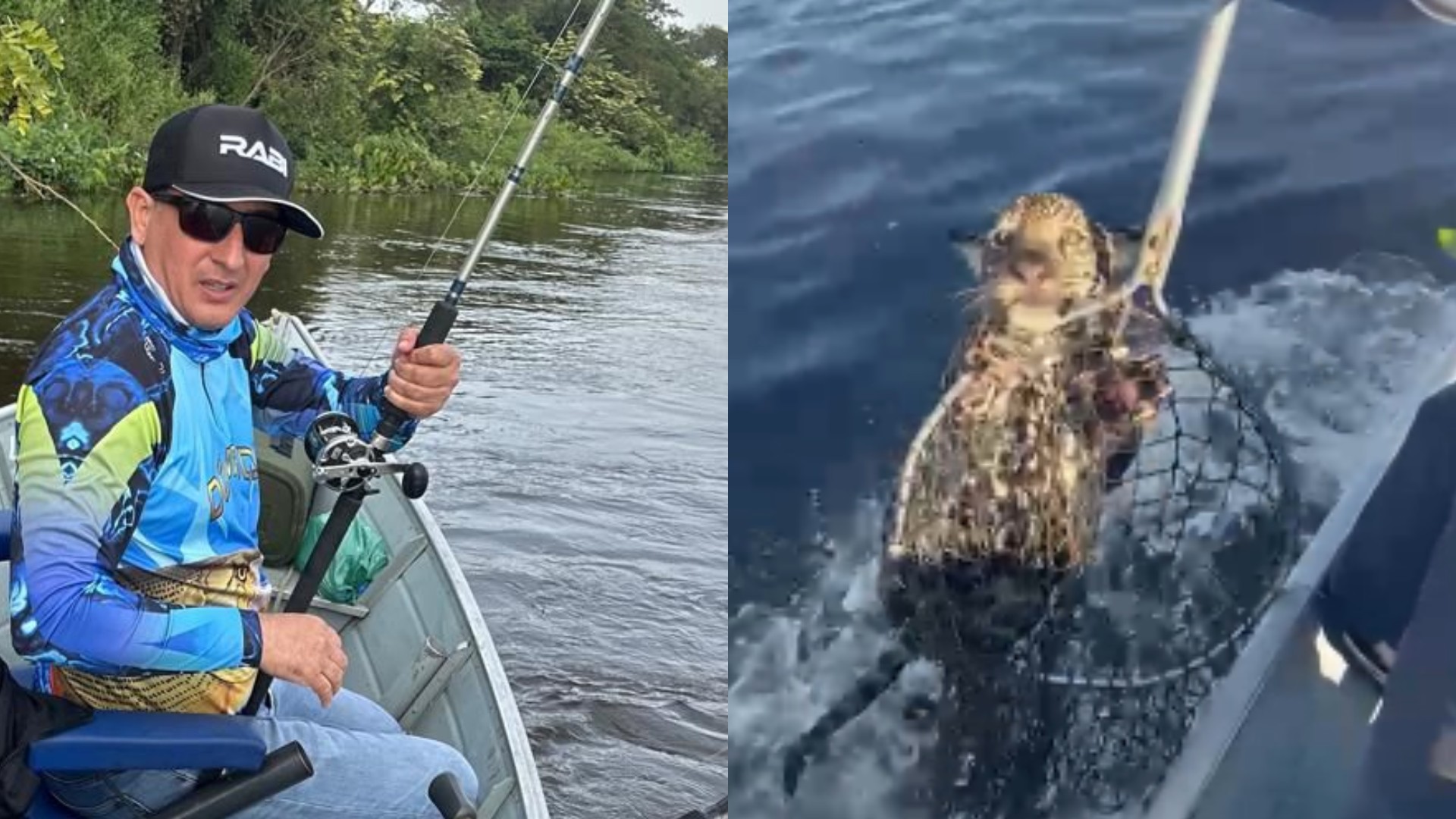 ‘Jamais colocaria no barco’, diz pescador que ‘fisgou’ e ajudou filhote de onça em rio no Pantanal