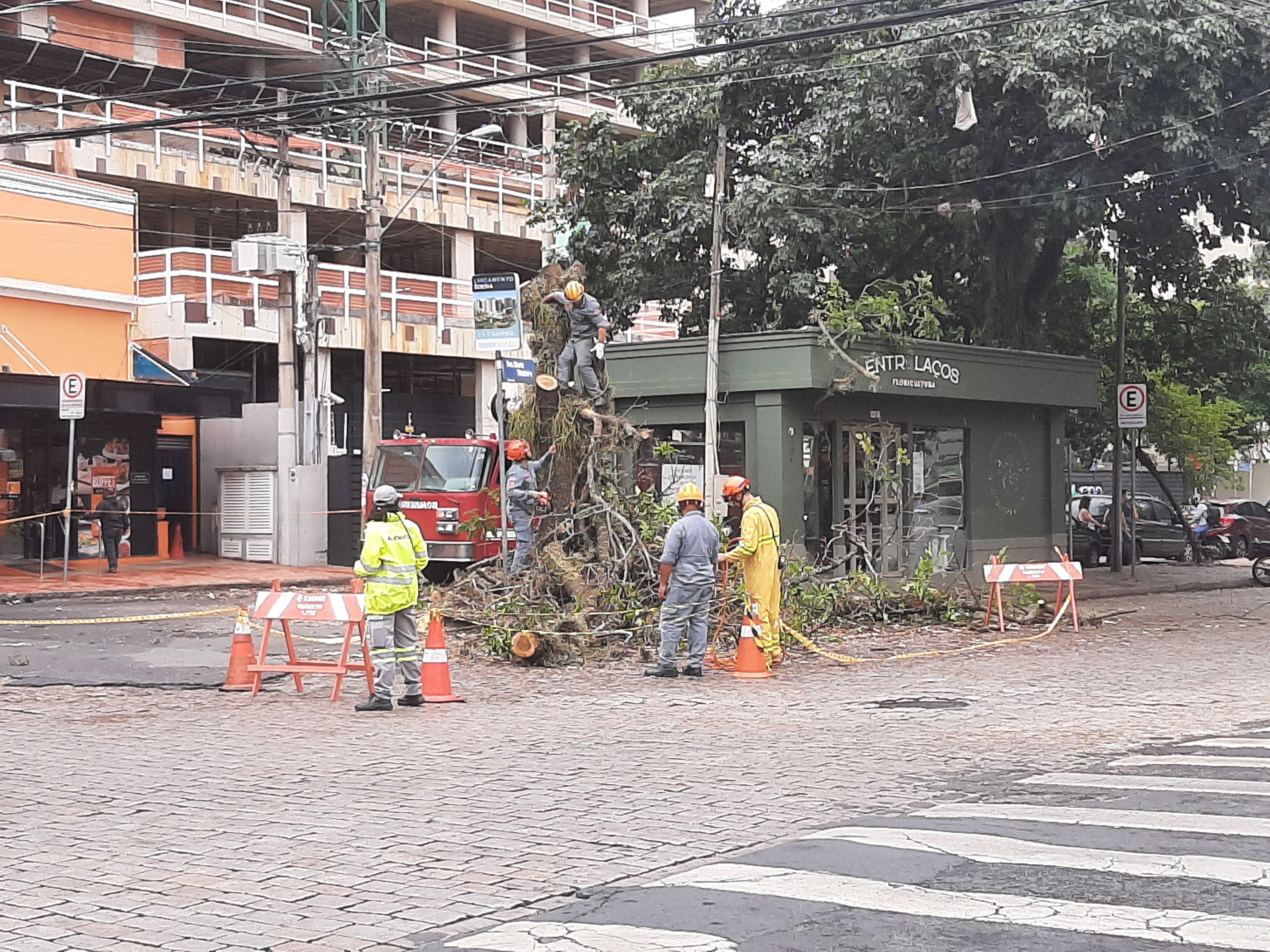 Prefeitura x Comdema: Justiça libera Campinas de pedir autorização ao Conselho para cortar árvores 