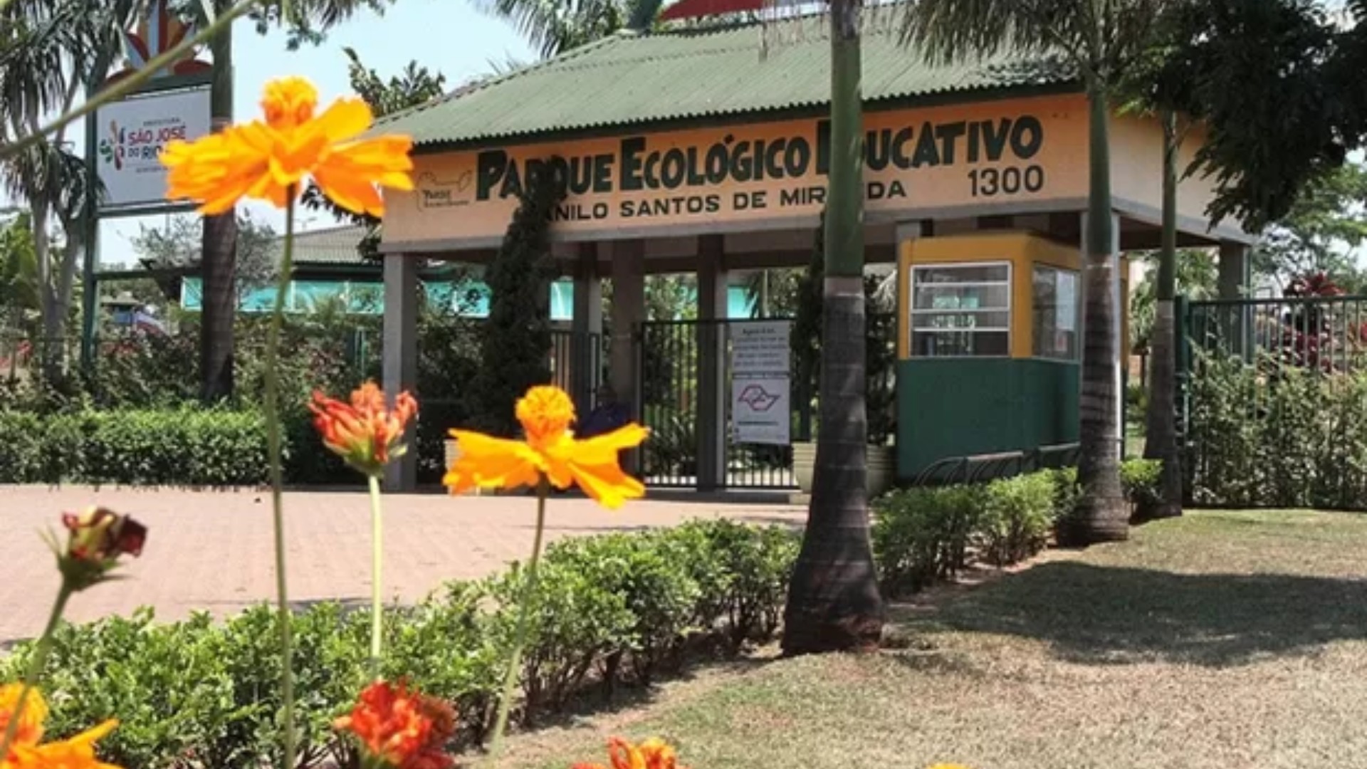 Criança é mordida por sagui dentro de Parque Ecológico no interior de SP e recebe medicação errada em UPA