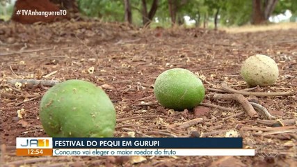 Inscrições para Festival do Pequi em Gurupi estão abertas até o dia 18 de outubro