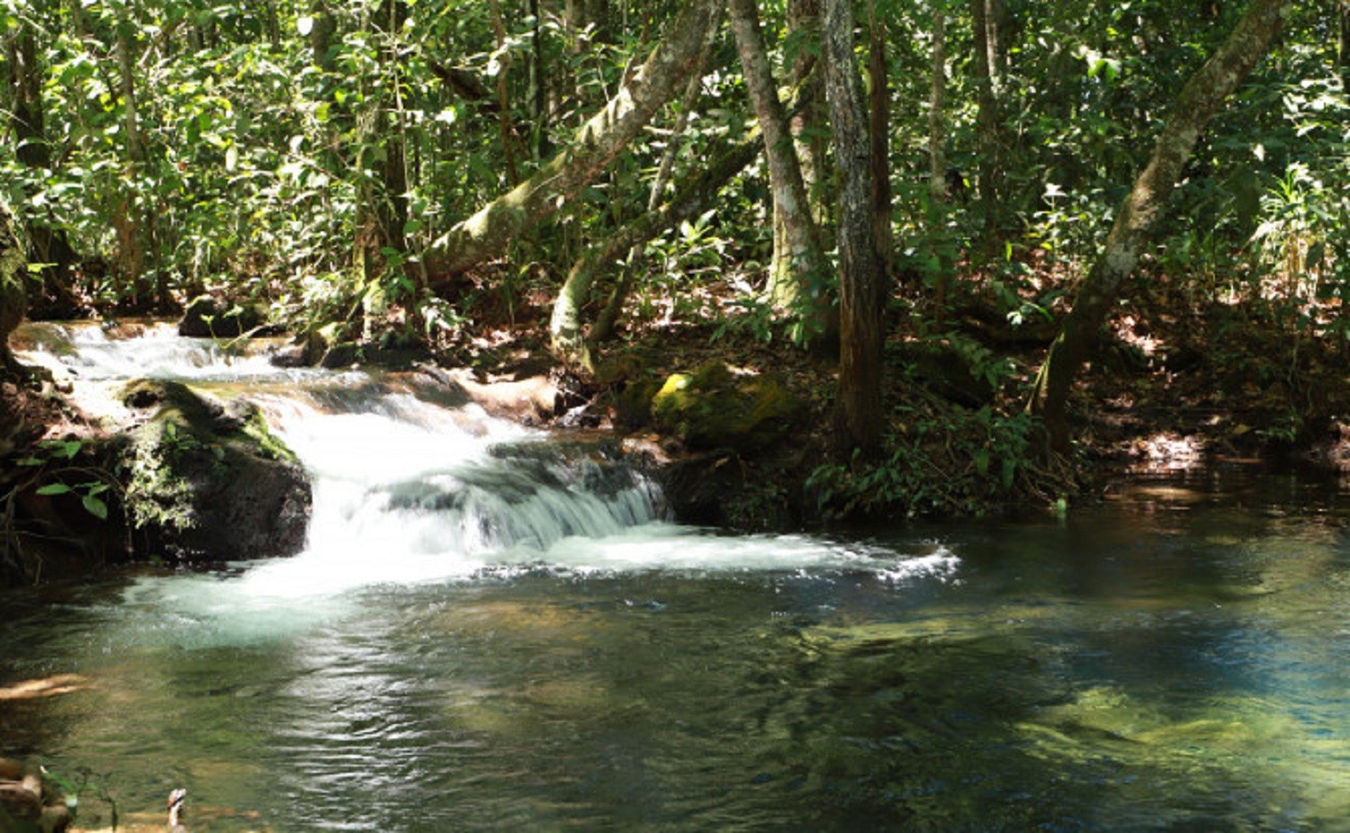 Parque Estadual do Lajeado: conheça atrativos e veja como visitar
