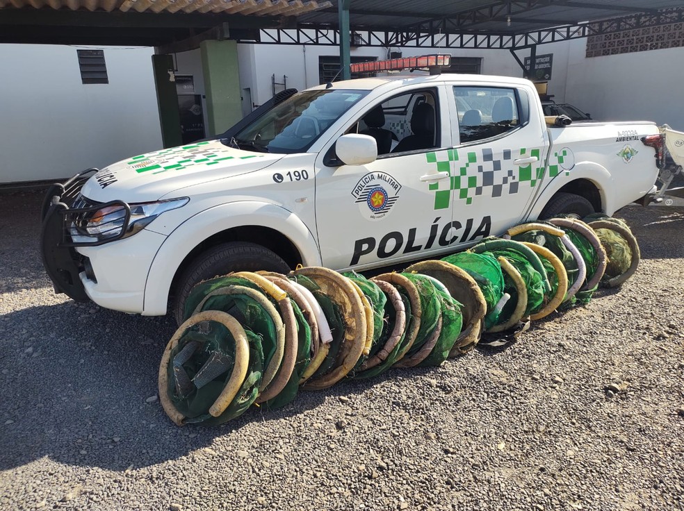 Fiscalização policial apreende 20 armadilhas de captura de iscas para pesca, em Caiuá (SP) — Foto: Polícia Ambiental